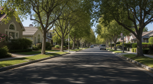 Quiet tree-lined residential street in Silicon Valley