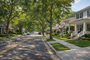 Tree-lined residential street with homes in a San Jose neighborhood